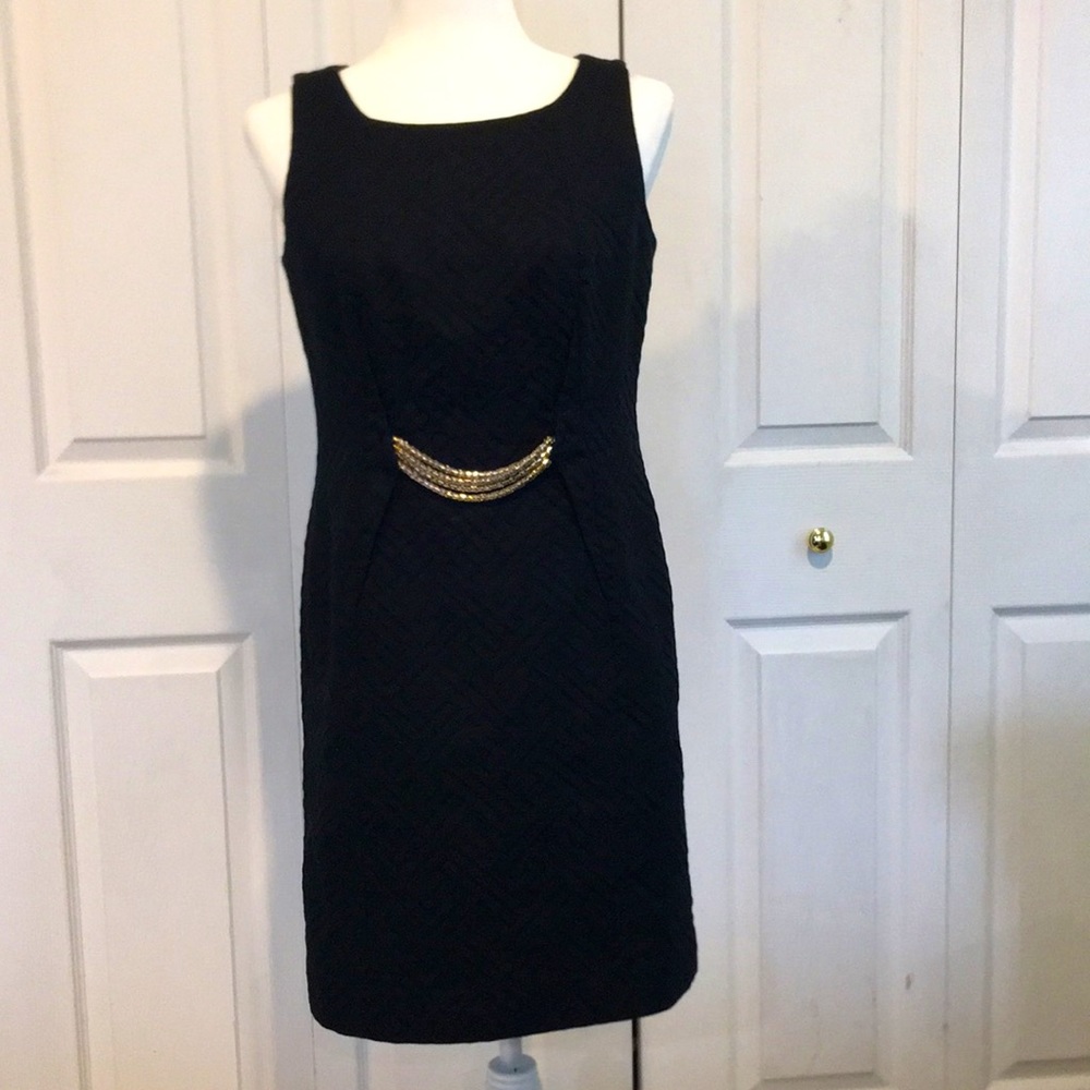 🍎 Taylor Black Fully Lined Sleeveless Dress - 6
